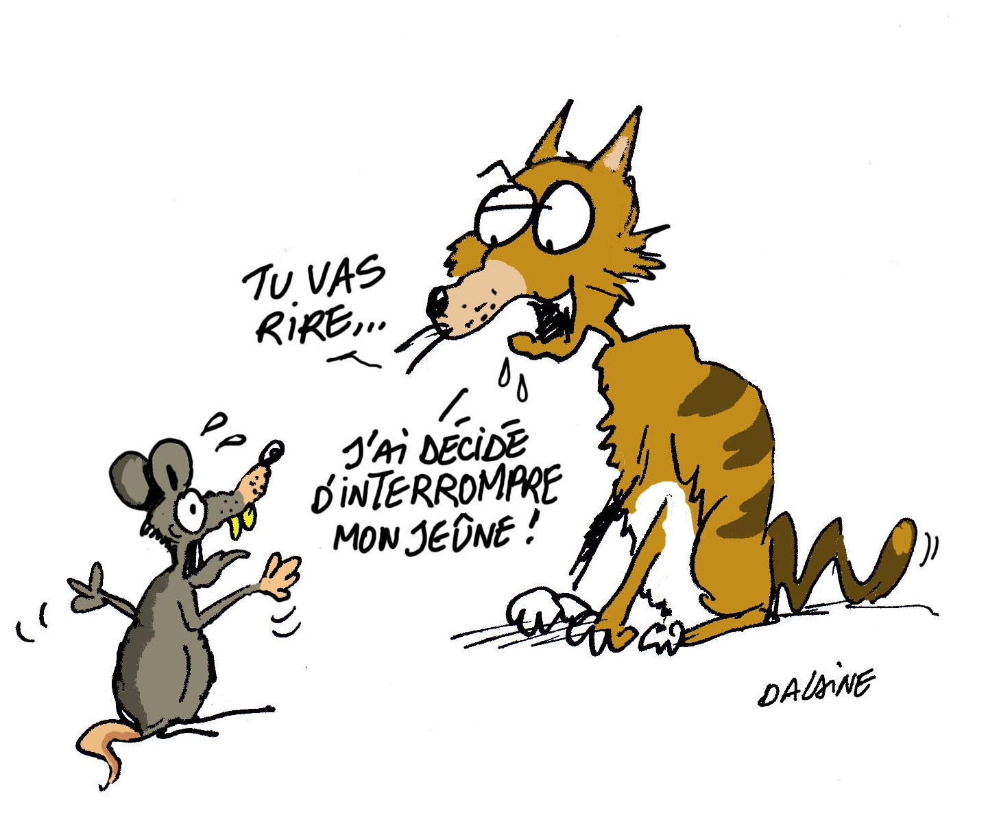 jeune_chat_.1
